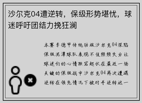 沙尔克04遭逆转，保级形势堪忧，球迷呼吁团结力挽狂澜