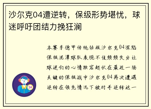 沙尔克04遭逆转，保级形势堪忧，球迷呼吁团结力挽狂澜